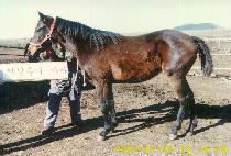 ���ڹٶ� (NALSSAEN BARAM) ����