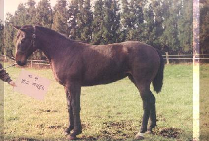 ���ϻ� ����