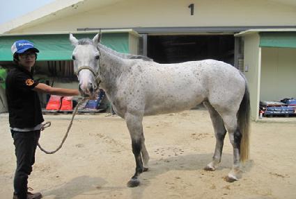 �������� ����