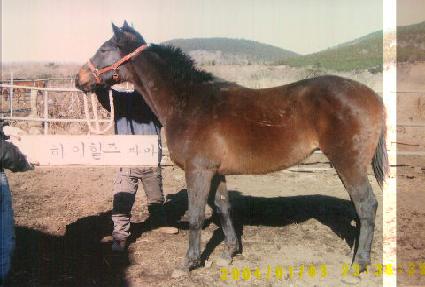 �����ǳ ����