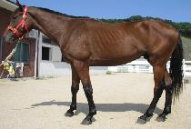 ÷������ (CHEOMBYEONGDAEJANG) ����