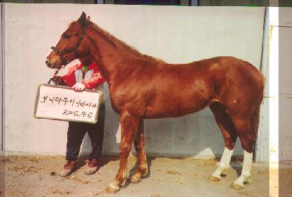 ����� ����