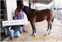 ���彺�� (RED STORM) ����