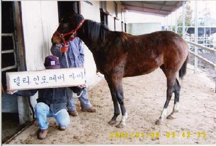 ���彺�� ����