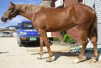 ���࿭�� (SANGHAENG YEOLCHA) ����