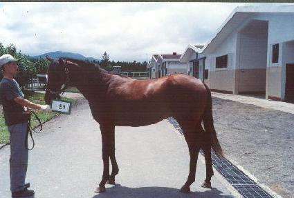 �׶���ŷ ����