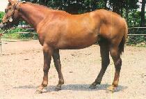 ��½ô� (USEUNG SIDAE) ����