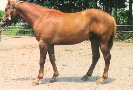 ��½ô� ����