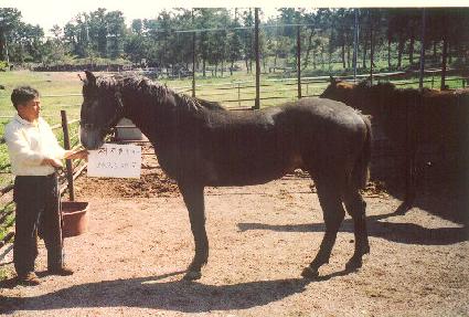 ���ټ����� ����