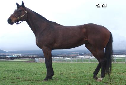 ���� ����