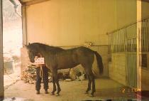 �뼶 (DAESEOM) ����