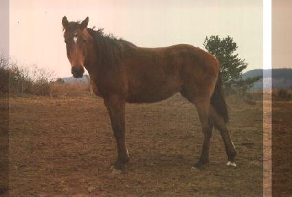 ����йи� ����