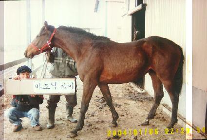 �������� ����