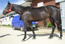 �ҿ� (SOWON) ����