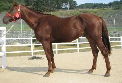 �ջ� ����