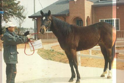 �����Ӵ� ����