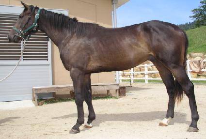 Ʈ��ũ���� ����