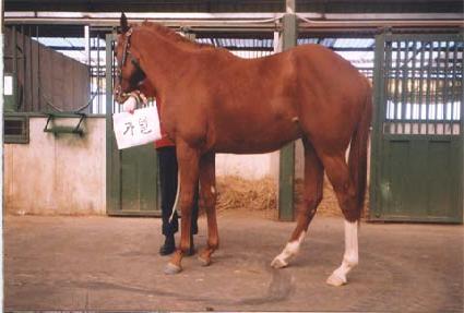 ������ ����