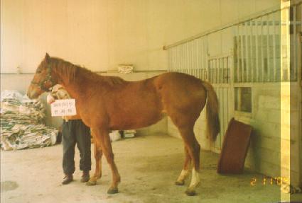 �������� ����