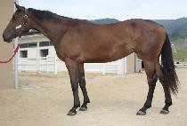 ���ٷ� (CHAMDARAE) ����