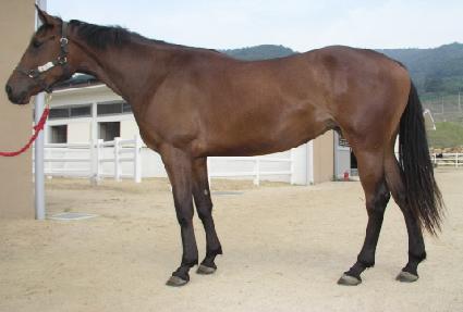 ���ٷ� ����