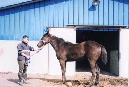 �����̱� ����