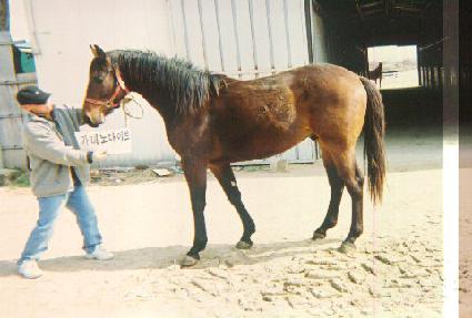 û������ ����