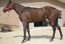 �翬���� (DANGYEON JISA) ����