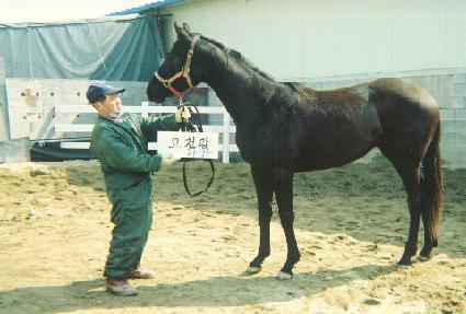 ȭ���Ŀ� ����