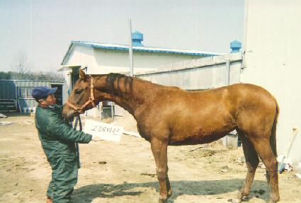 ��� ����