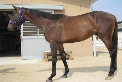 �Ҳ���� ����