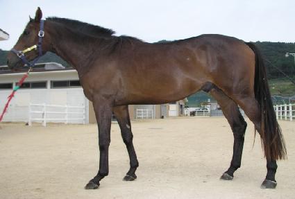 ����ī�� ����