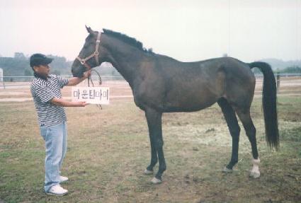 ��ε��� ����