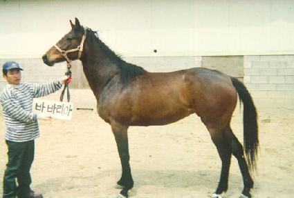 ����ȯȣ ����