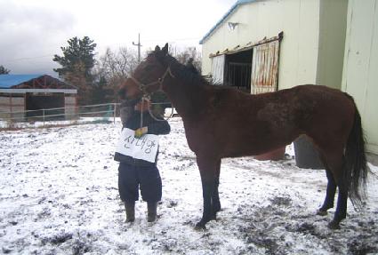 �Ŵ�� ����