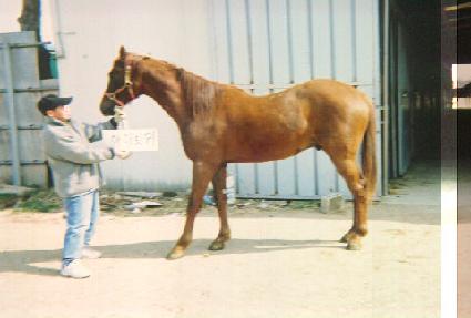 ����õ�� ����