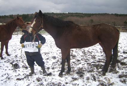 ����ʽ� ����