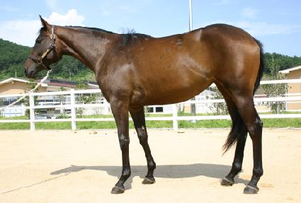 �ֵ��� ����