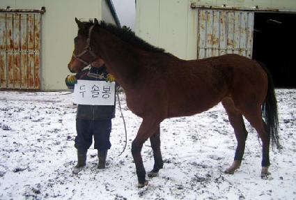 �μֺ� ����