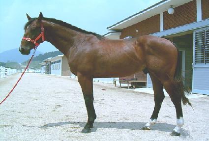 ġ���޺��� ����