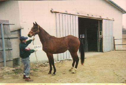 ���� ����