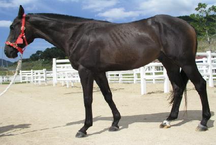 �±���� ����