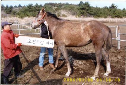 ��õ帲 ����