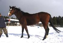 ââ�Ϸ� (CHANGCHANGILLO) ����