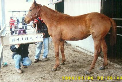 õ������ ����