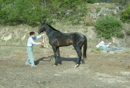 ���ϸ���ƾ ����