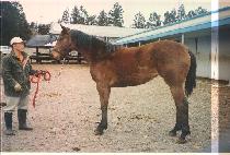 �����Ϻ� (SMILE BEAM) ����