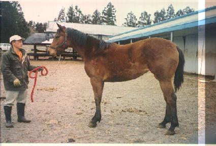 �����Ϻ� ����