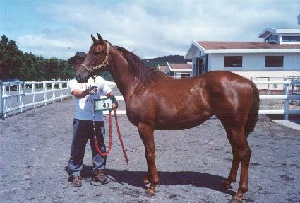 �ų���û�� ����