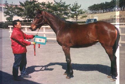 �������� ����